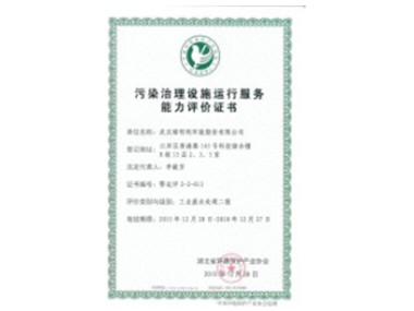 Certificate of Honor VIII Certificate of Honor VIII